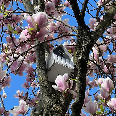 The Beekeeper, Country Escape & Terrace Near Parma * Basilicanova