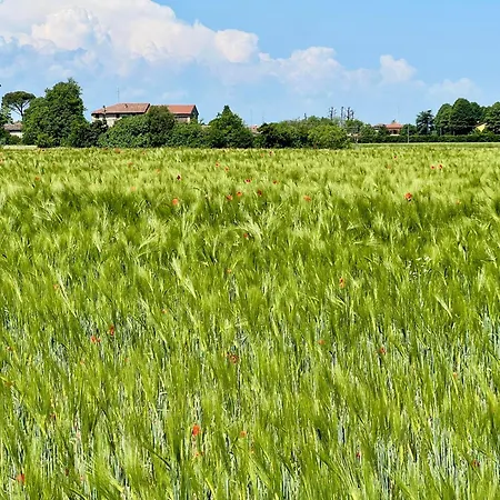 The Beekeeper, Country Escape With Terrace & Bike Near Parma *