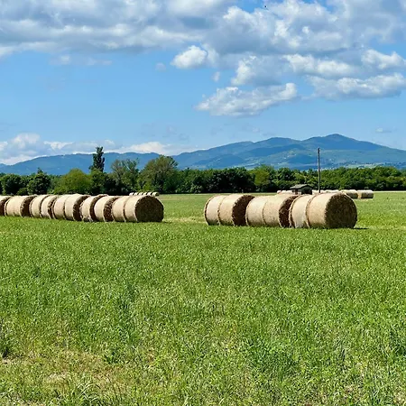 The Beekeeper, Country Escape With Terrace & Bike Near Parma Apartmán