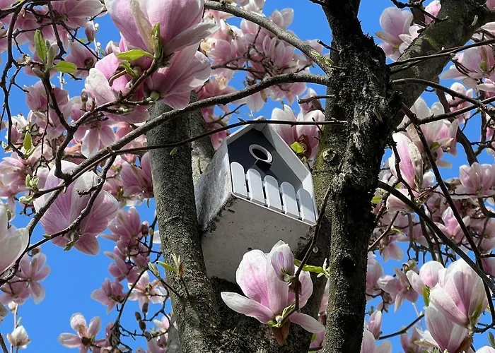 The Beekeeper, Country Escape & Terrace Near Parma * Basilicanova