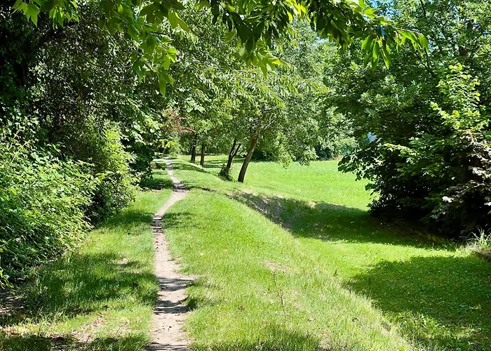 Appartement The Beekeeper, Country Escape & Terrace Near Parma *