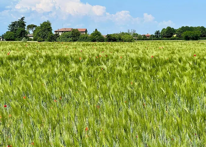 The Beekeeper, Country Escape & Terrace Near Parma *