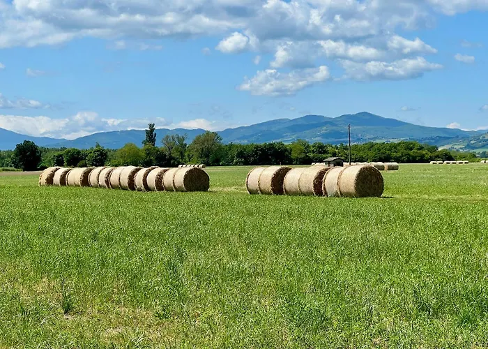 The Beekeeper, Country Escape & Terrace Near Parma Appartement